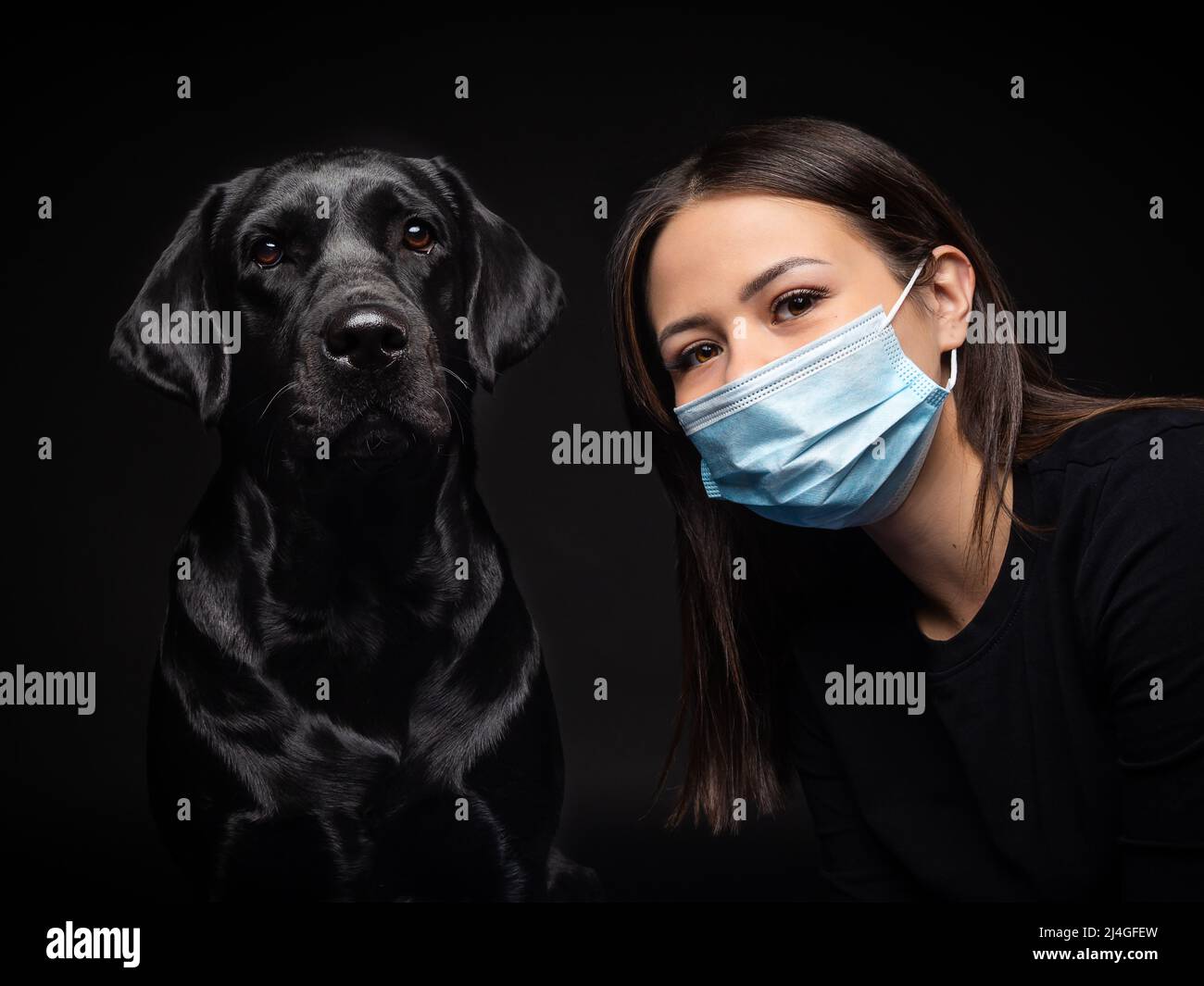 Are Labrador Dogs Protective