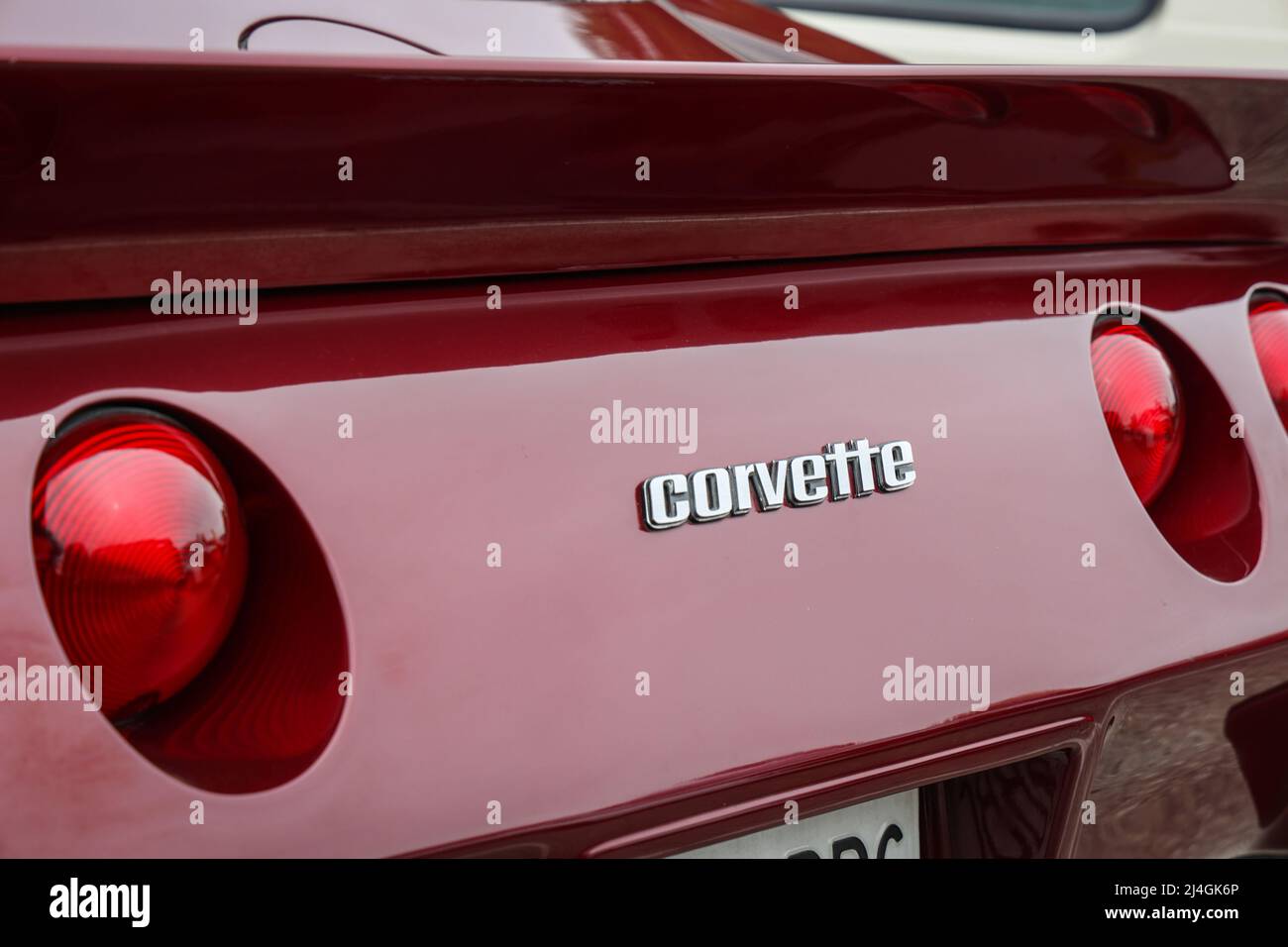 Rear view of 1981 Corvette Stingray C3, American Muscle Car Stock Photo