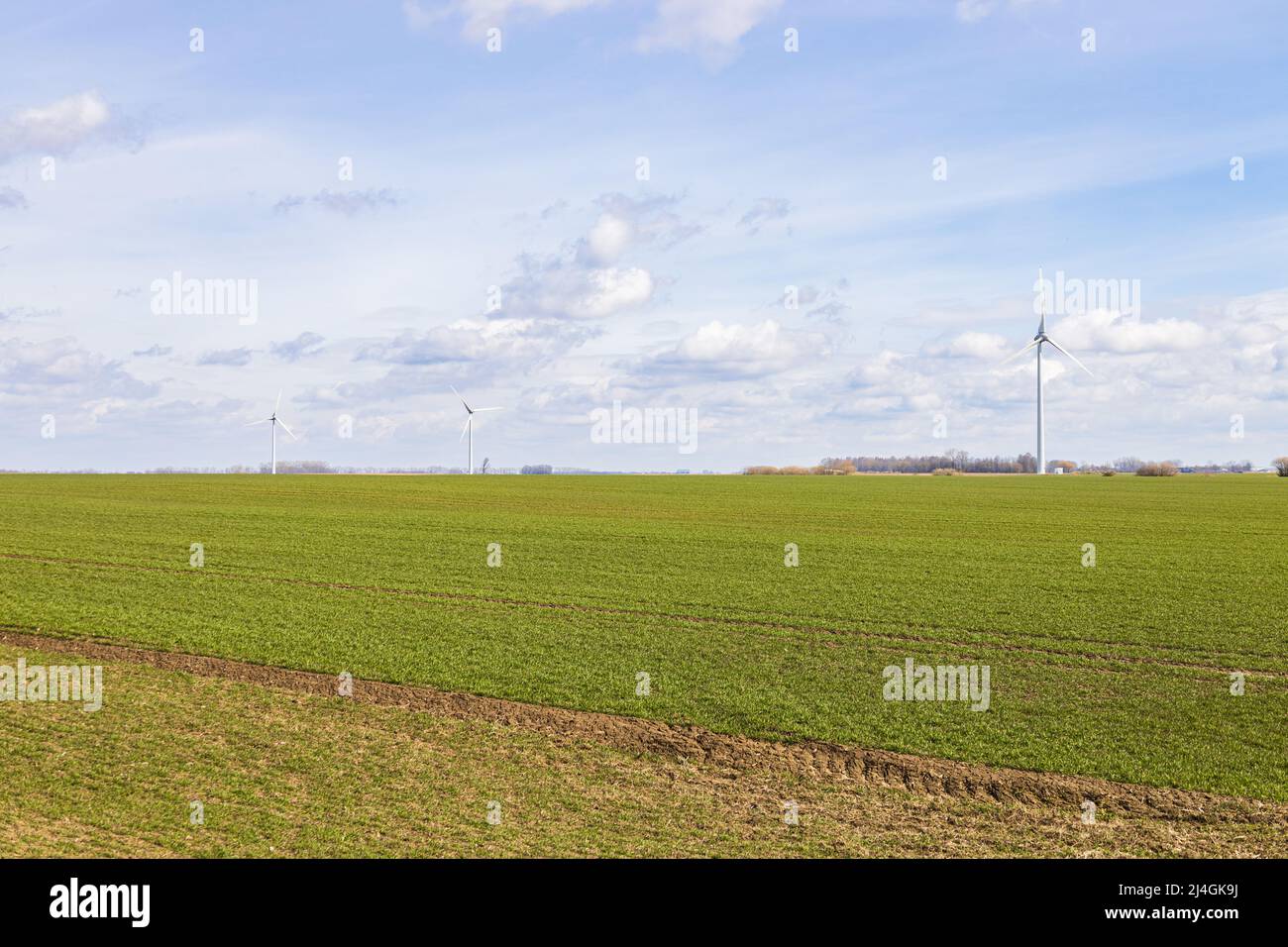 The agricultural field under blue sky and silhouettes of wind power ...