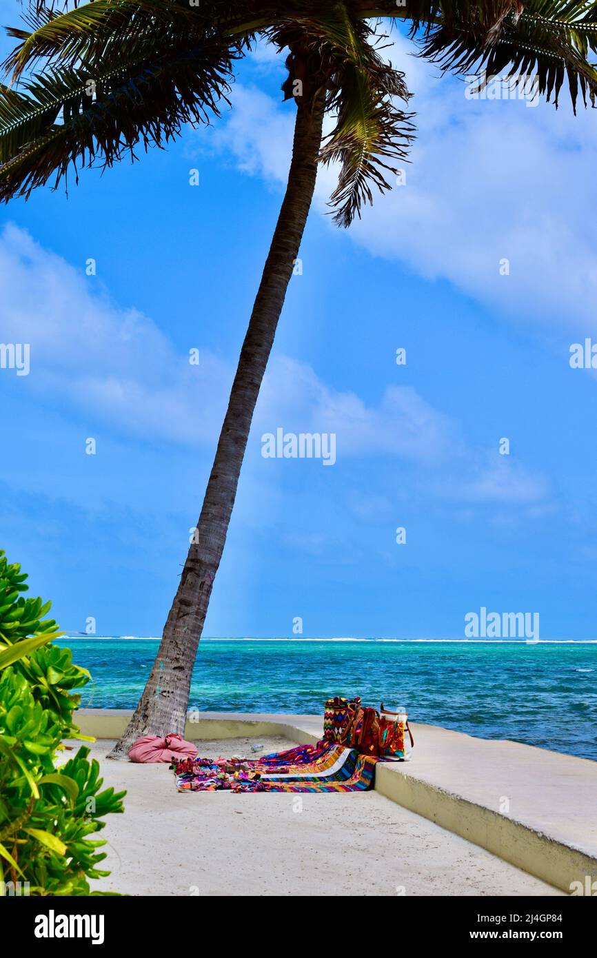 Local Belizean handmade textiles and handbags under a palm tree, on the ...