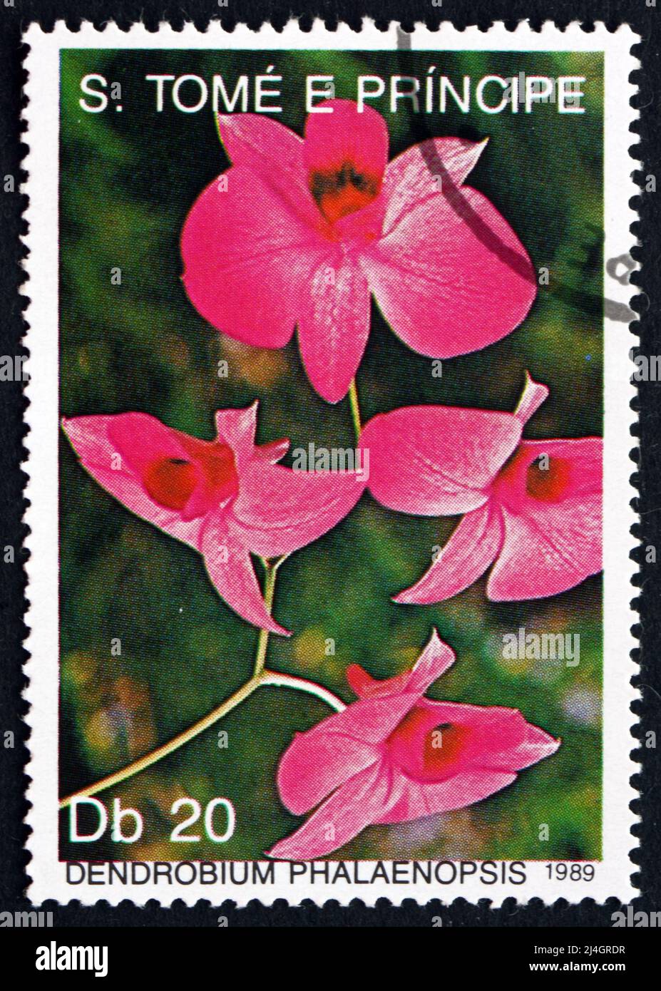 SAO TOME AND PRINIPE - CIRCA 1989: a stamp printed in Sao Tome and Principe shows Dendrobium Phalaenopsis, Orchid, circa 1989 Stock Photo