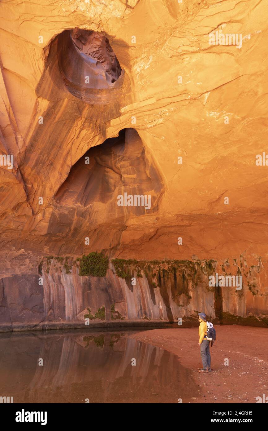 Hiker at Golden Cathedral sandstone formations, Neon Canyon, Glen Canyon National Recreation Area, Garfield County, Utah, USA Stock Photo