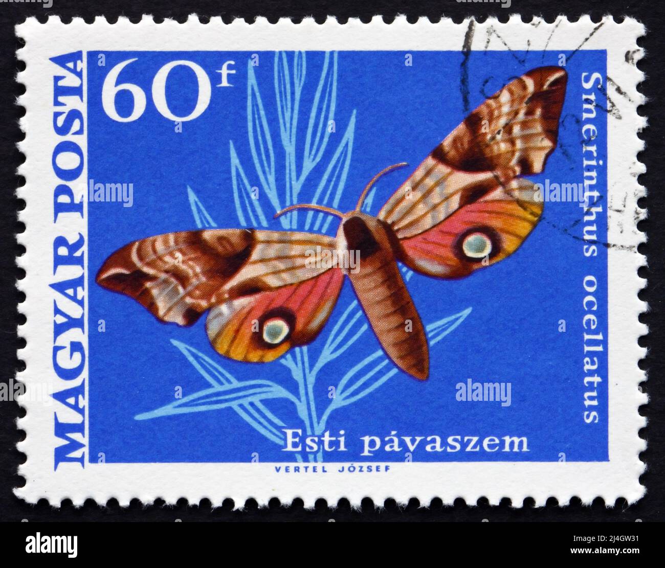 HUNGARY - CIRCA 1969: a stamp printed in the Hungary shows Eyed Hawk Moth, Smerinthus Ocellatus, European Moth, circa 1969 Stock Photo