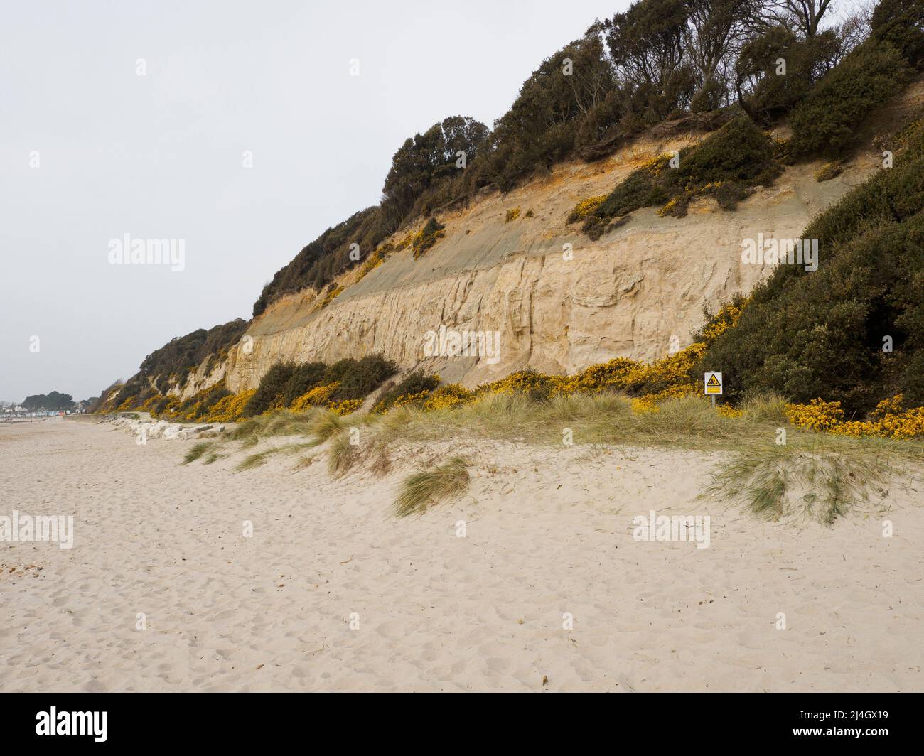 Cliffs along Highcliffe beach, below Steamer Point Nature Reserve
