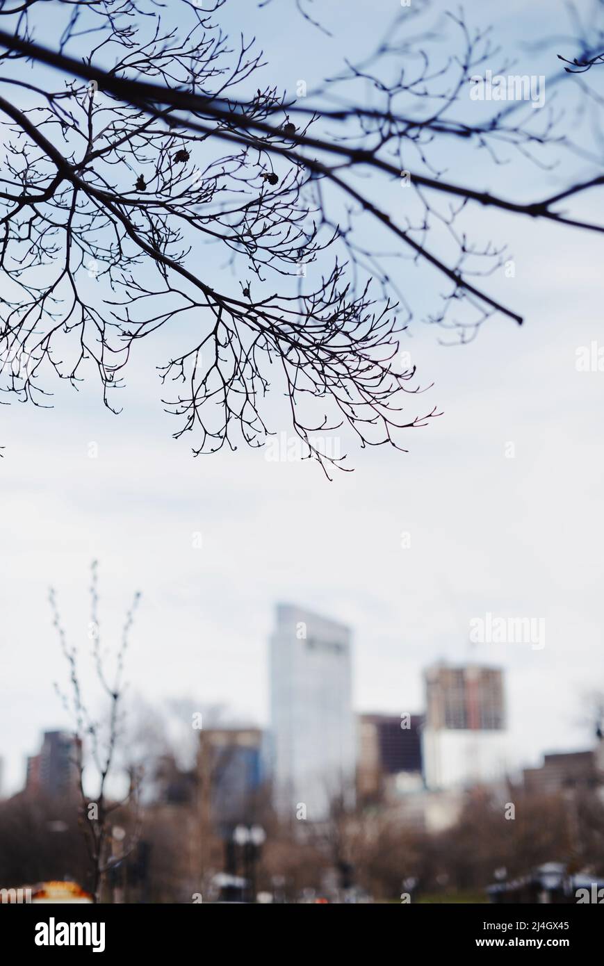 Boston skyline dusk from hi-res stock photography and images - Alamy