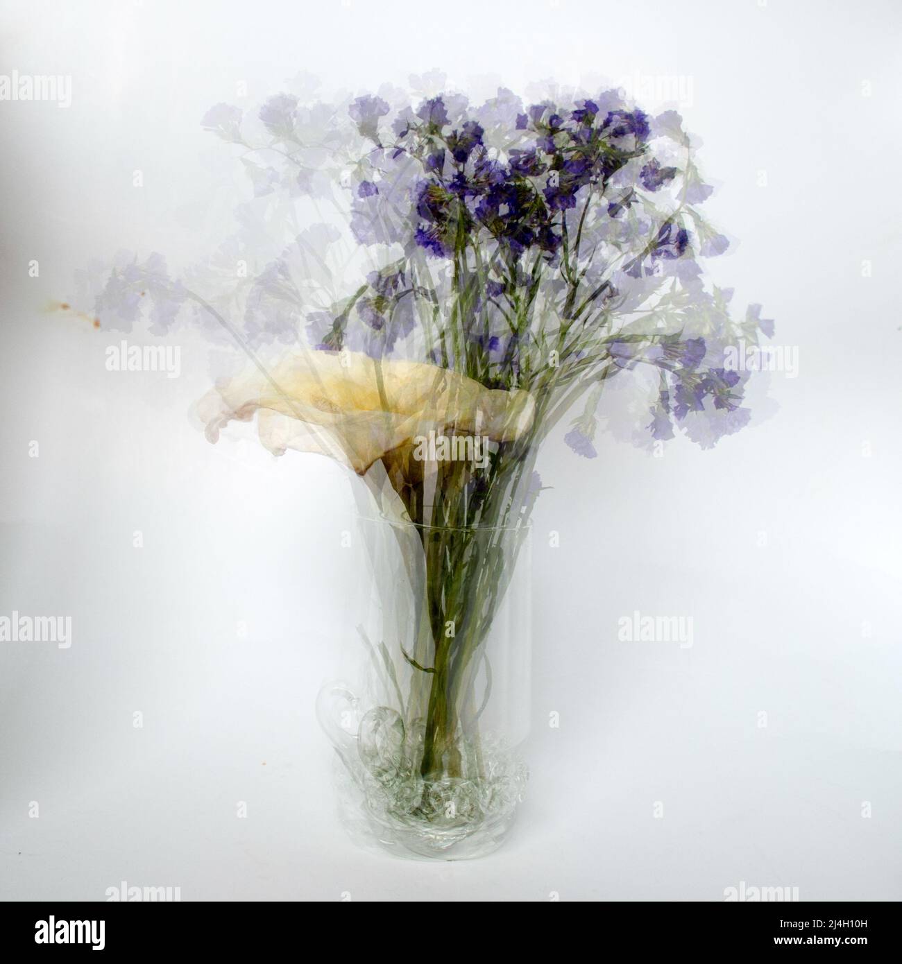 a bouquet of flowers photographed from many shots and put together in a