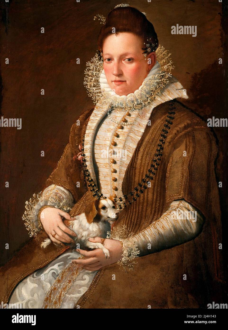 Portrait of a lady with a dog, Painting by Lavinia Fontana Stock Photo