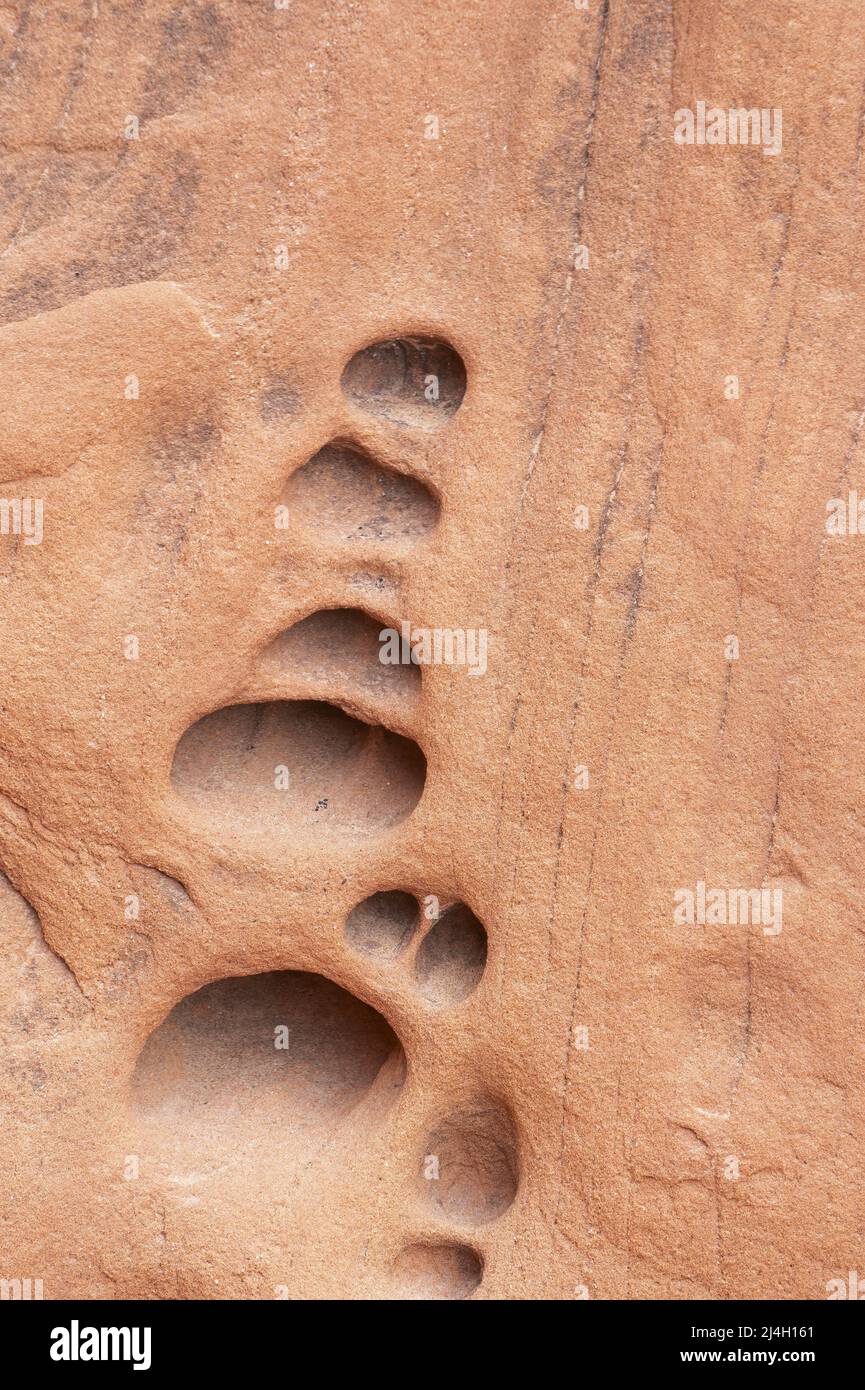 Pockets formed in sandstone, Moody Canyon, Glen Canyon National Recreation Area, Kane County, Utah, USA Stock Photo