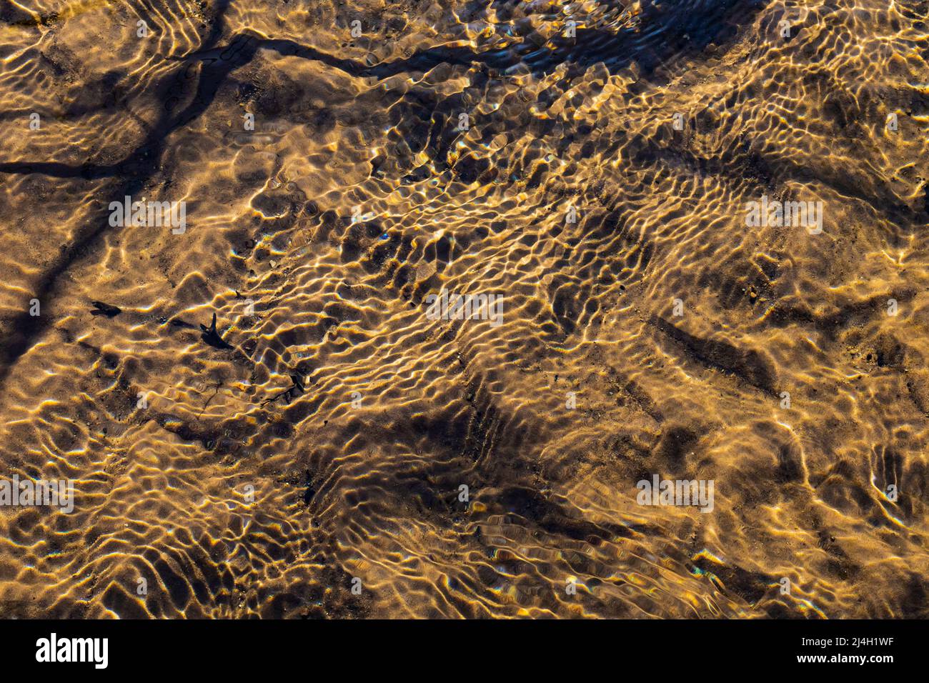 Ripples catching sunlight on the surface of Mitchell Creek, Clay Cliffs Nature Area in Big Rapids, Michigan, USA Stock Photo