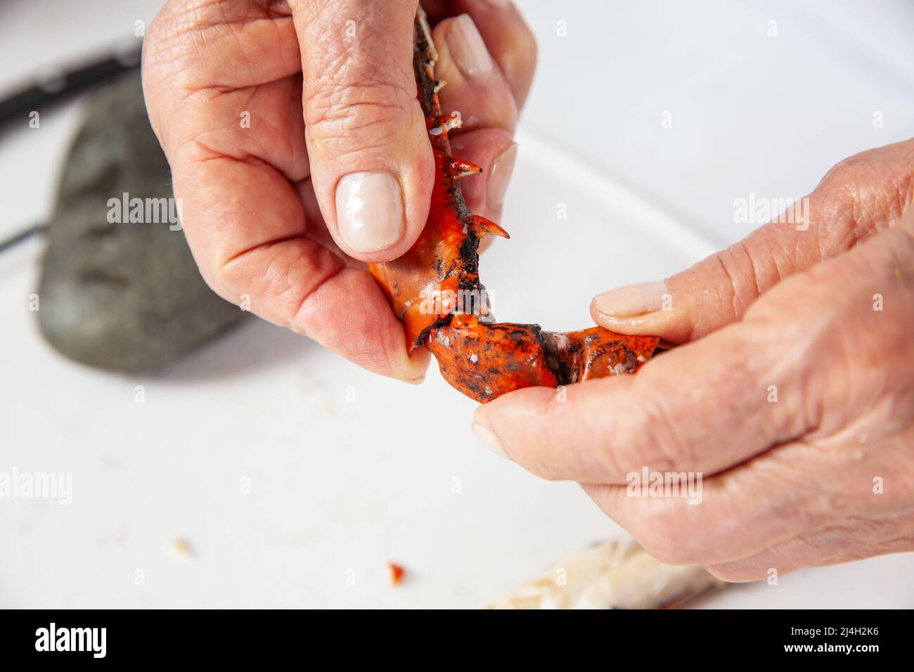 Crab Getting Smashed Close up of the process of breaking down a fresh crab to take out the ...