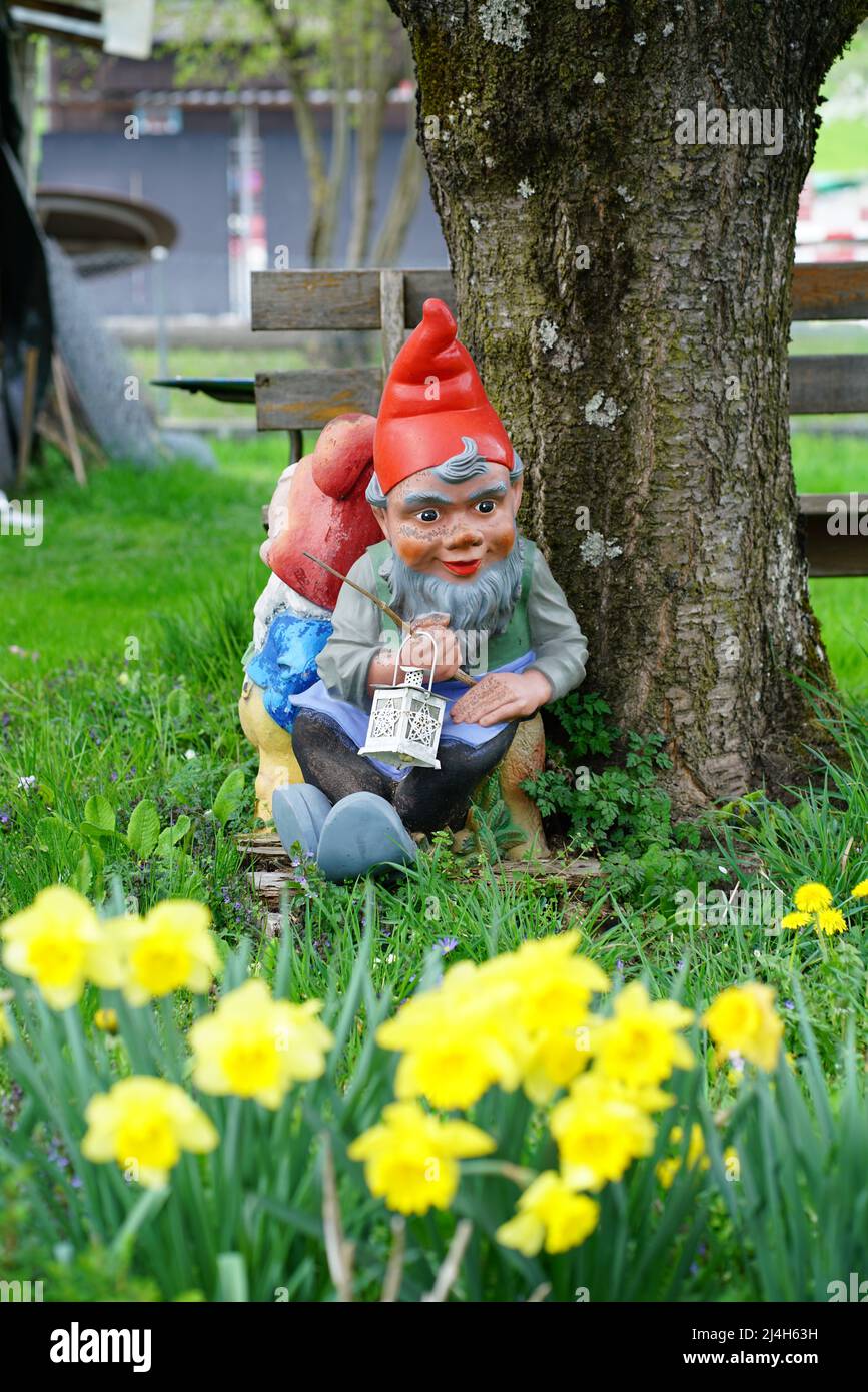 Two gnomes in the garden in spring, Switzerland Stock Photo