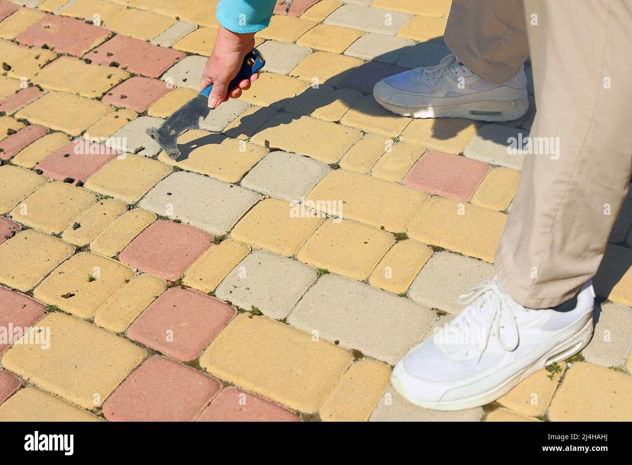 Gardener scratching moss out of paving stones. remove moss and weeds