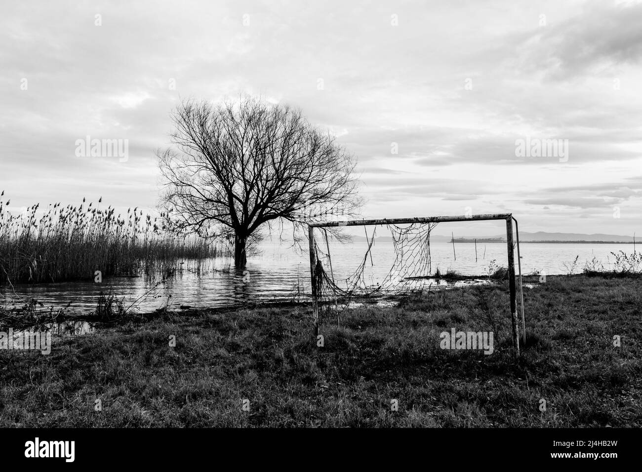 A very old and abandoned soccer goal on the shore of a lake, with a tree on the background and a cloudy sky Stock Photo