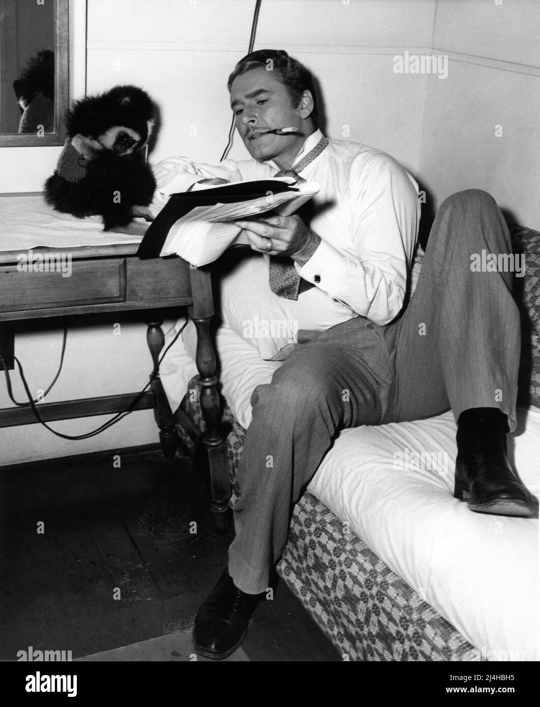 ERROL FLYNN in his Dressing Room showing his pet gibbon monkey CHICO his script on set candid during filming of SILVER RIVER 1948 director RAOUL WALSH novel Stephen Longstreet costume design Marjorie Best and Travilla music Max Steiner Warner Bros. Stock Photo