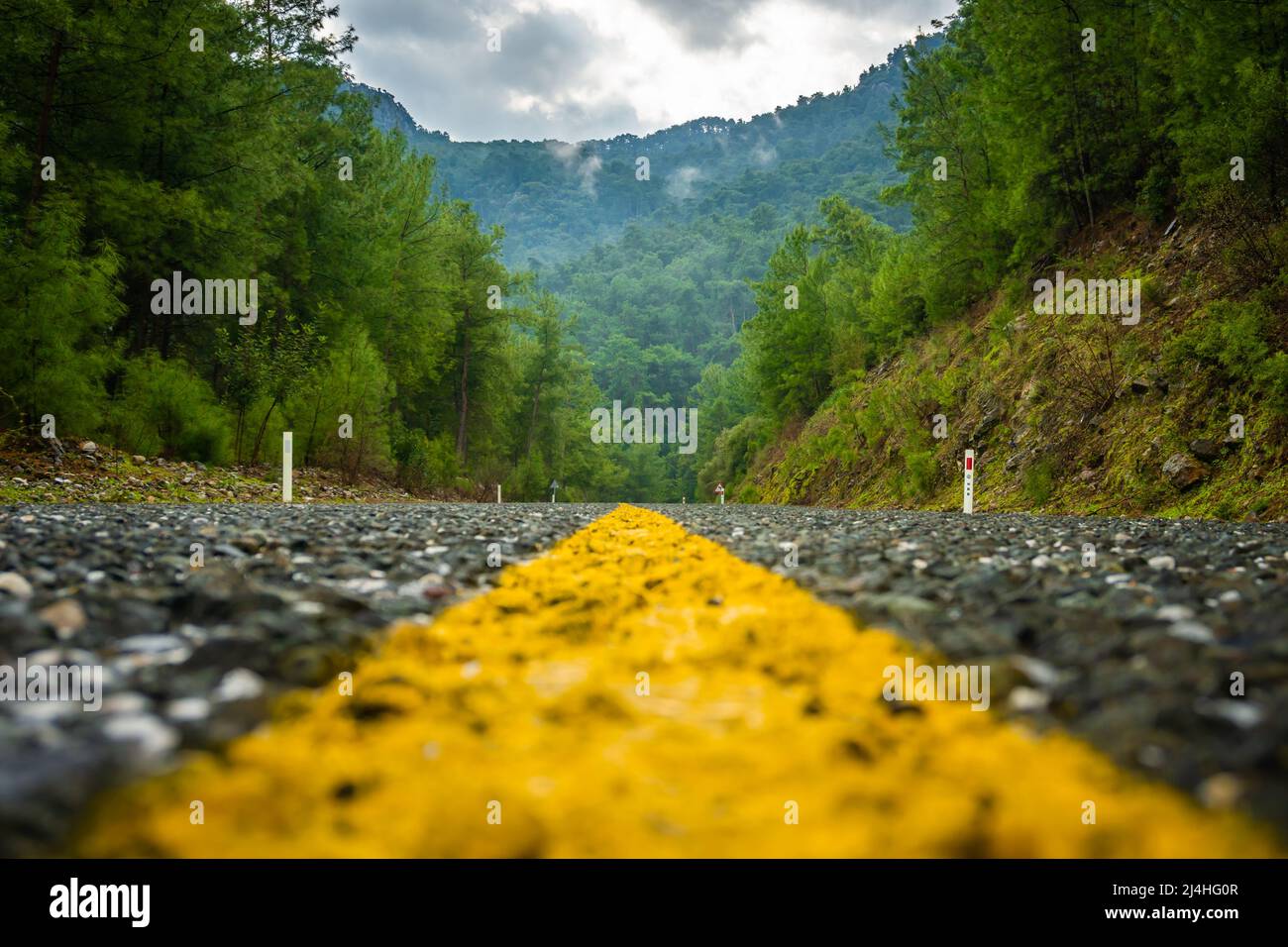 Amazing nature view from the asphalt road. Close up scene. Travel and transportation concept. Stock Photo