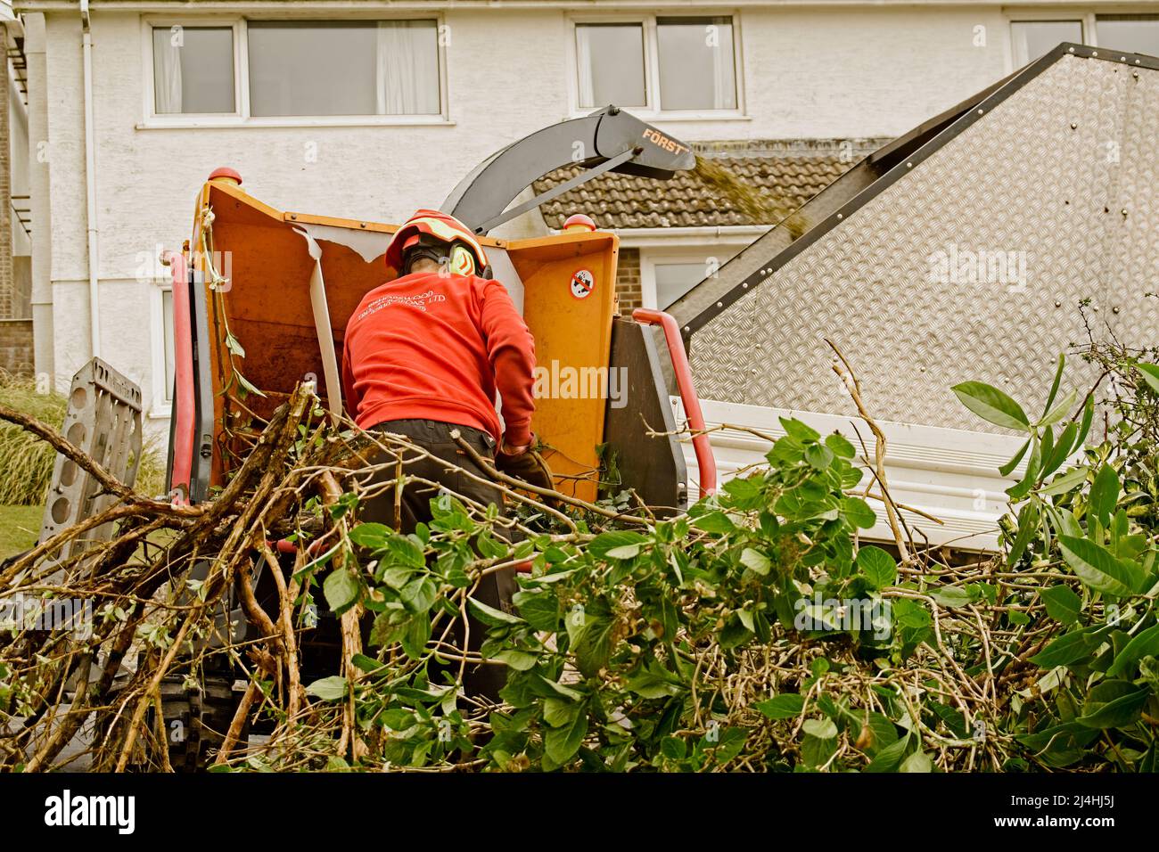 Tree and garden clearing. Stock Photo