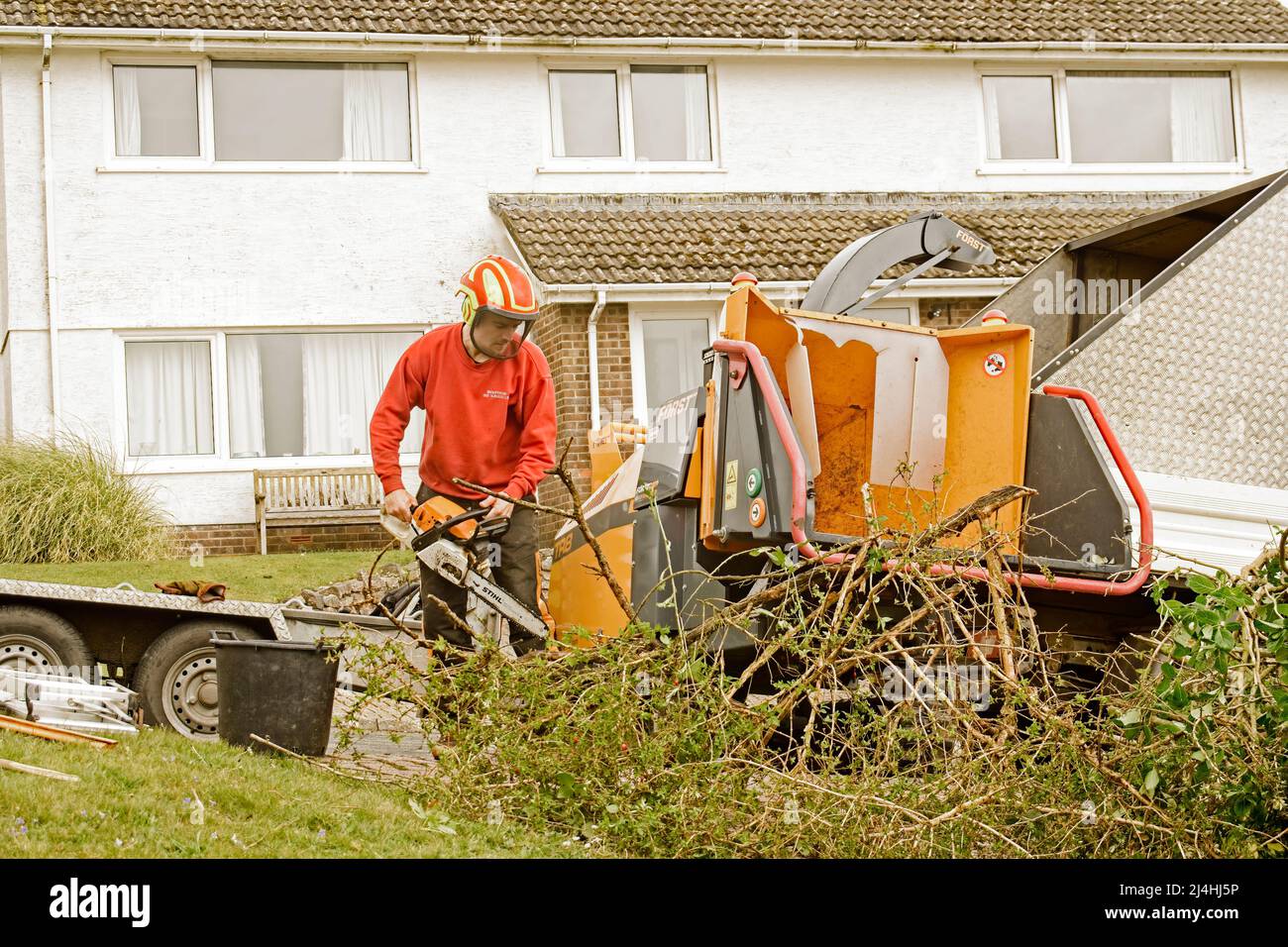 Tree and garden clearing Stock Photo Alamy