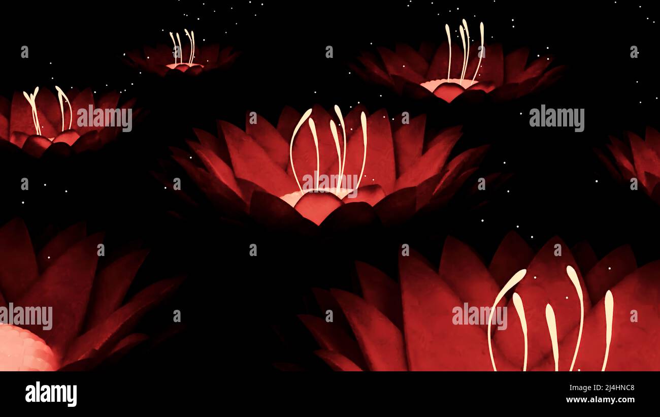 Abstract blooming red lotuses closing their buds and disappearing on a black background. Design. Exotic beautiful flowers. Stock Photo