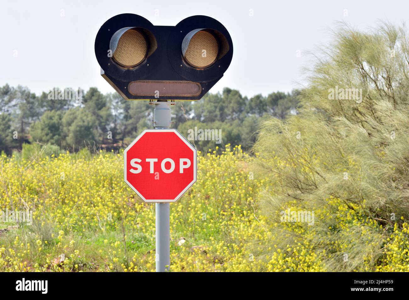 Señal de stop con semáforo en un paso a nivel Stock Photo