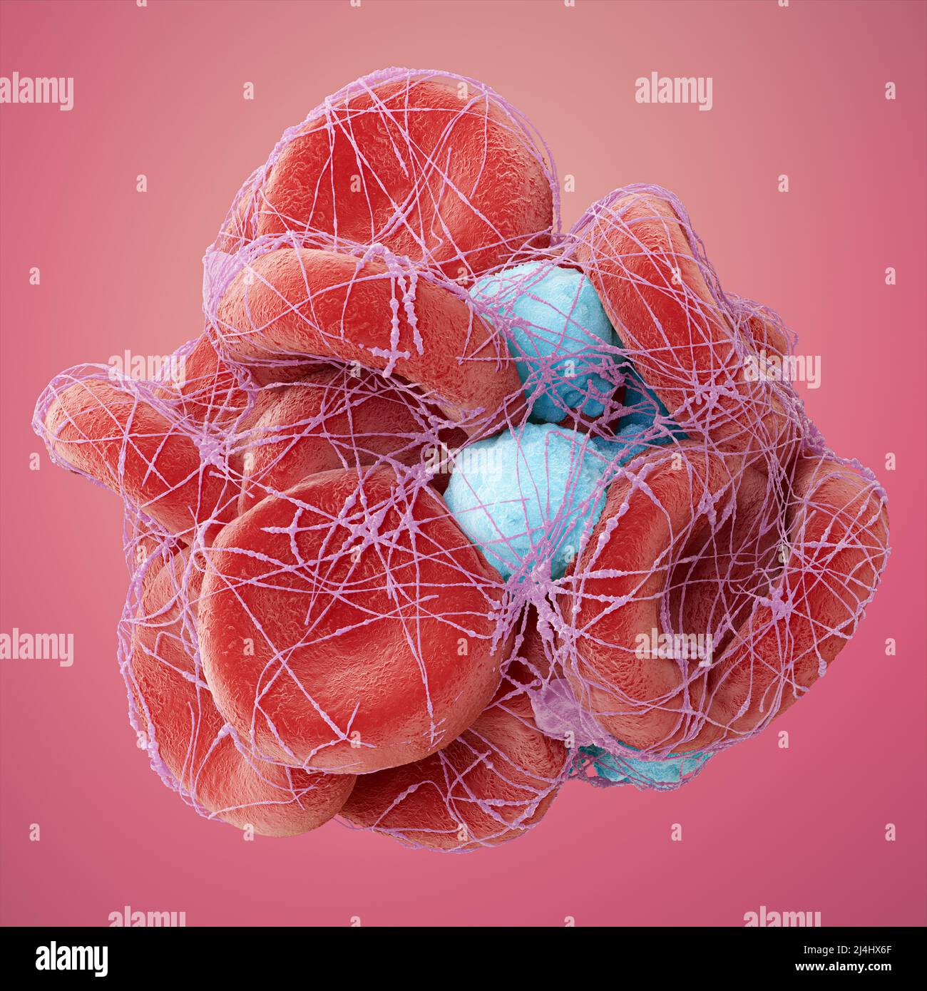 blood-clot-illustration-stock-photo-alamy