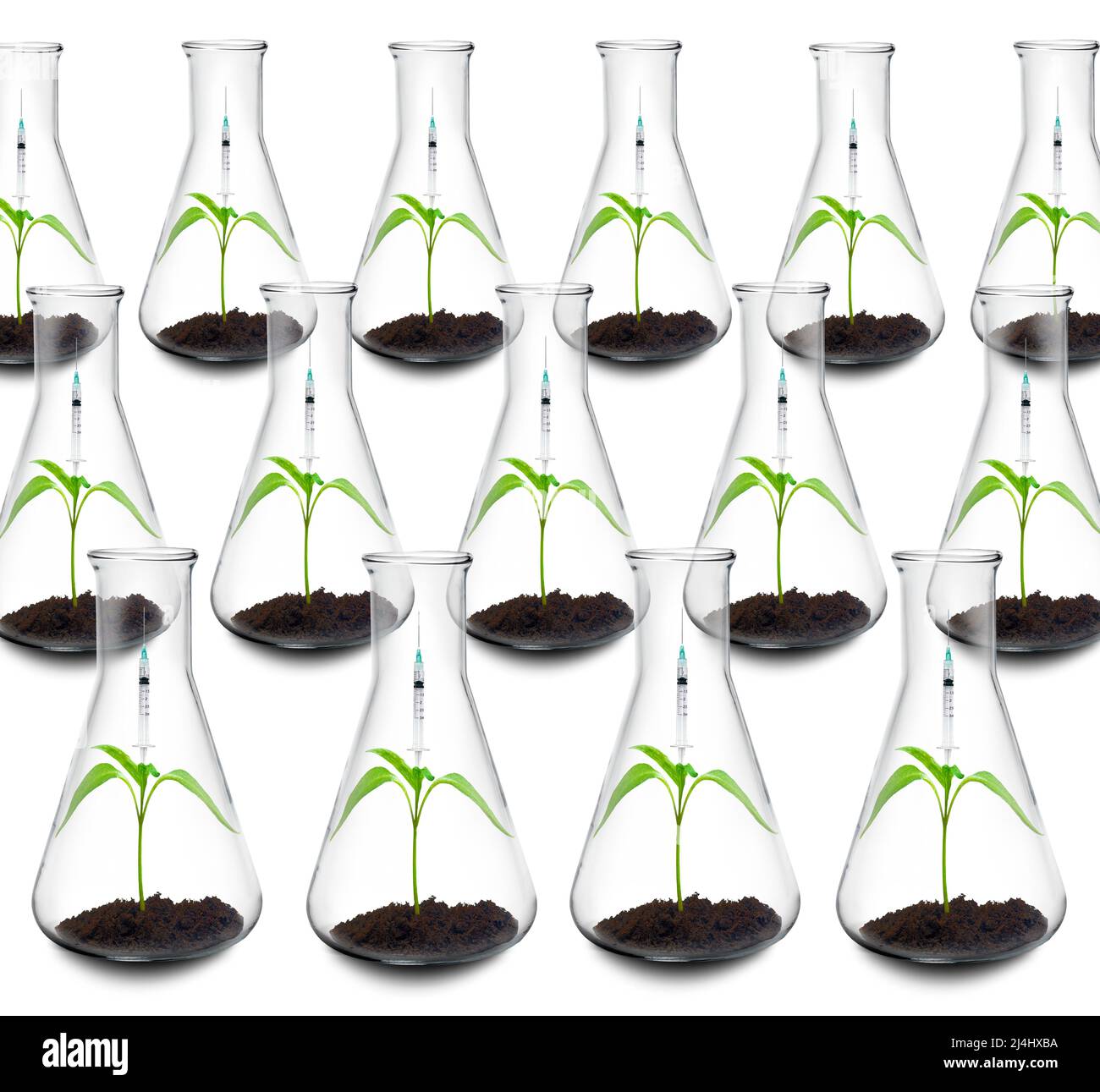 Biotech growth, conceptual image Stock Photo