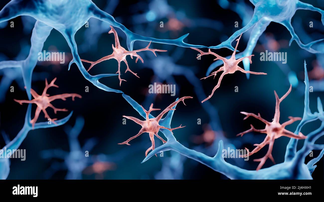 Microglia, illustration Stock Photo - Alamy