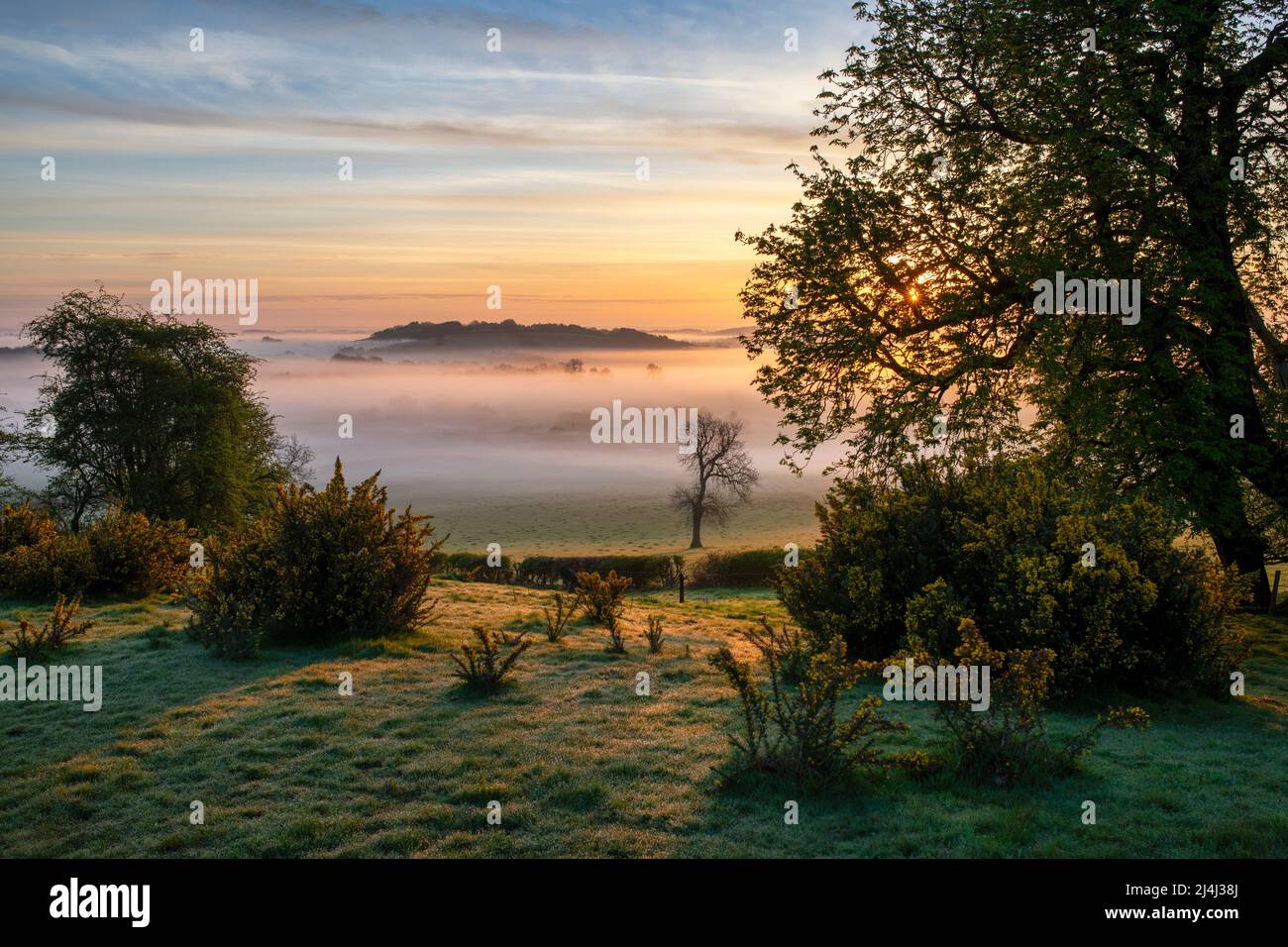 Spring sunrise and mist near Swalcliffe in the oxfordshire countryside. Oxfordshire, England Stock Photo