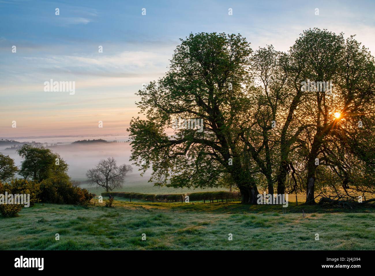 Spring sunrise and mist near Swalcliffe in the oxfordshire countryside. Oxfordshire, England Stock Photo