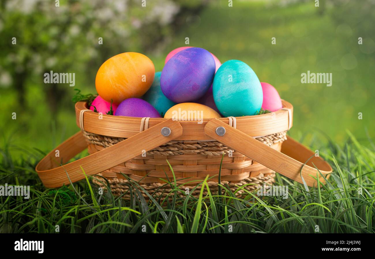 Basket Full of Colorful Solid Boiled Easter Eggs Stock Photo