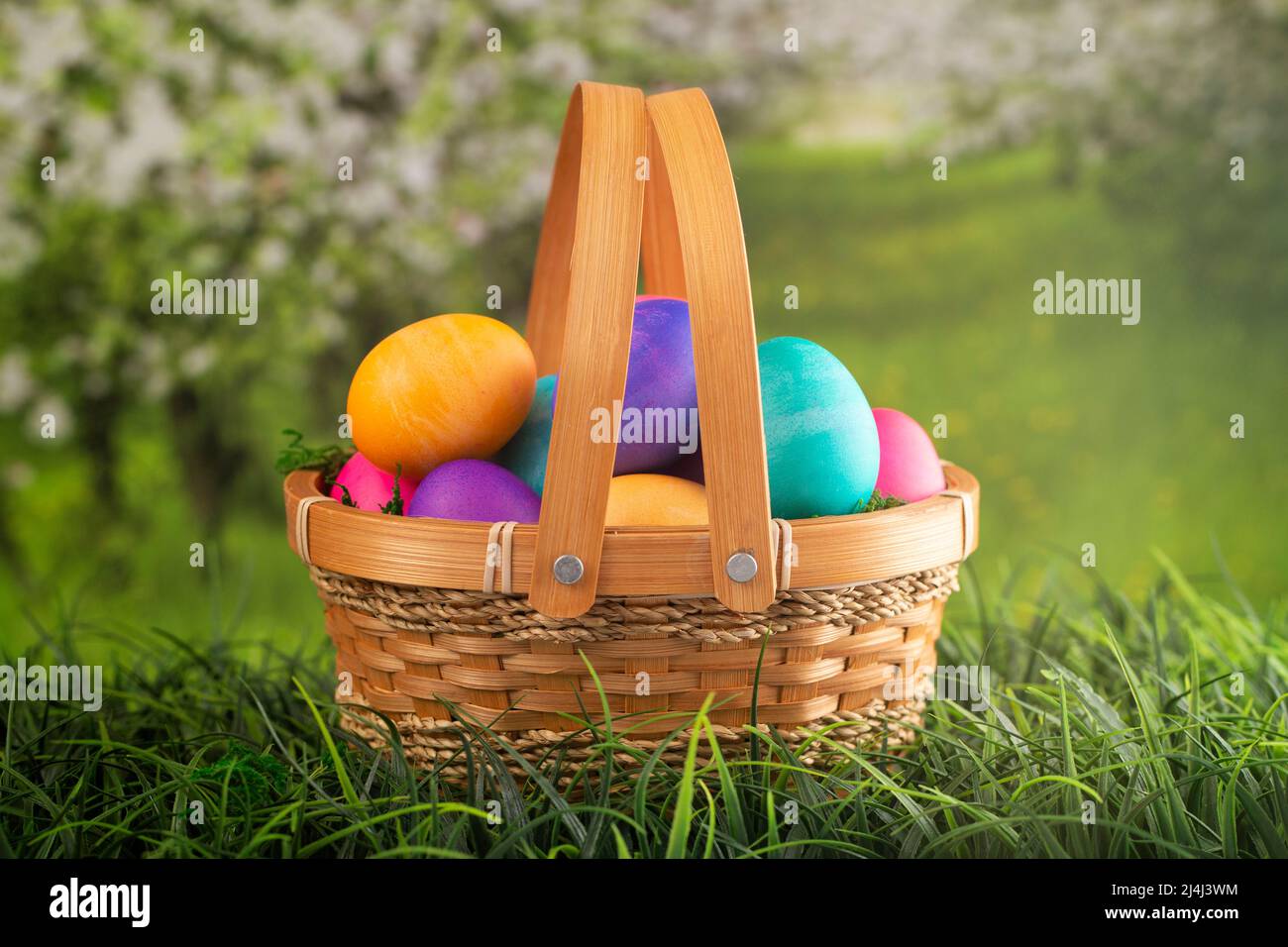 Basket Full of Colorful Solid Boiled Easter Eggs Stock Photo