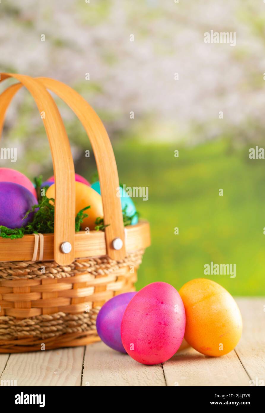 Basket Full of Colorful Solid Boiled Easter Eggs Stock Photo
