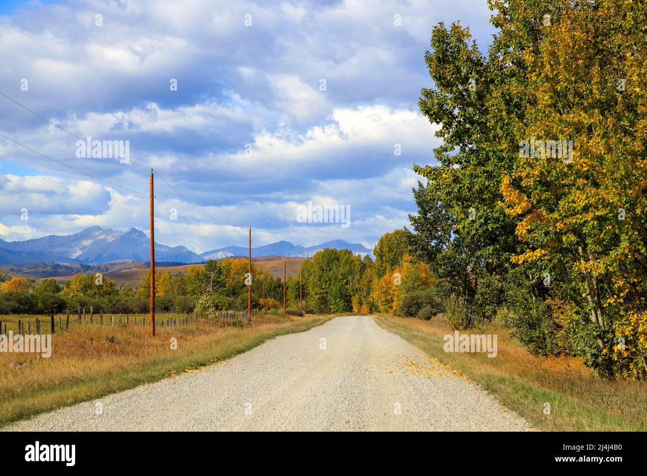 View of a gravel dirt country road in the foothills of the Canadian
