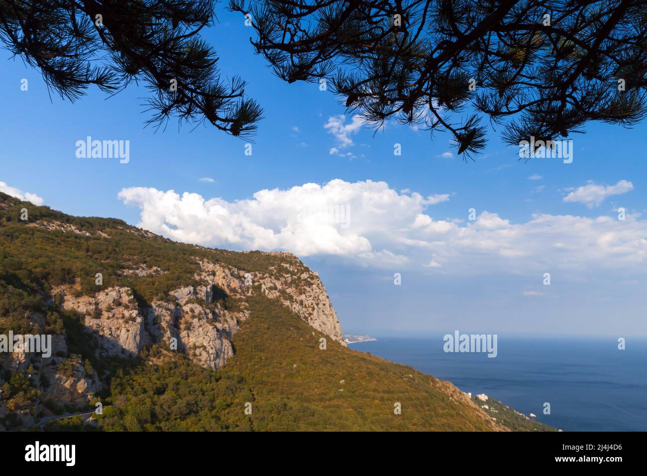 Crimean landscape with Black Sea coast on a sunny day. Pine tree branches silhouettes on a foreground Stock Photo
