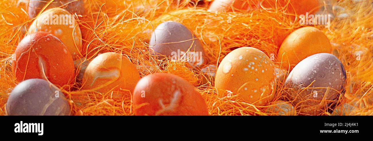 Mulicoloured Painted Easter eggs in decorative mesh. Stock Photo