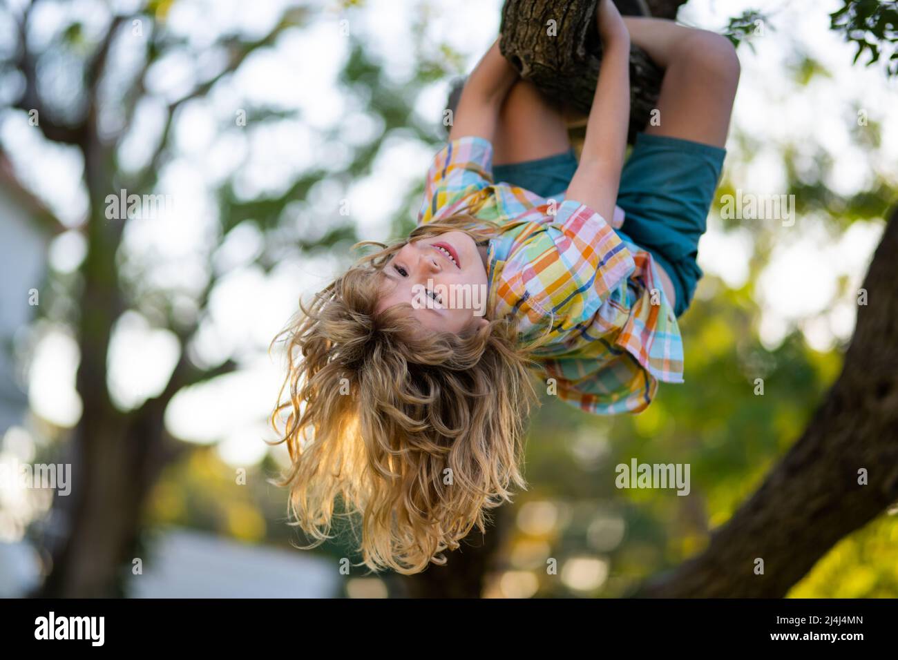 Cute child learning to climb, having fun in summer park. Kids climbing trees, hanging upside down on a tree in a park. Upside down. Childhood concept. Stock Photo