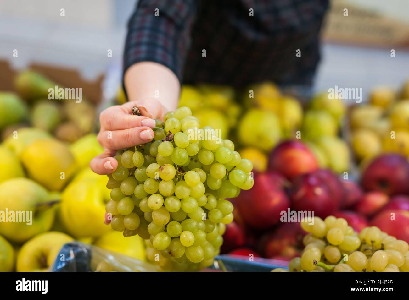 Caucasian girl buying fresh vegetables food products at the market Stock Photo