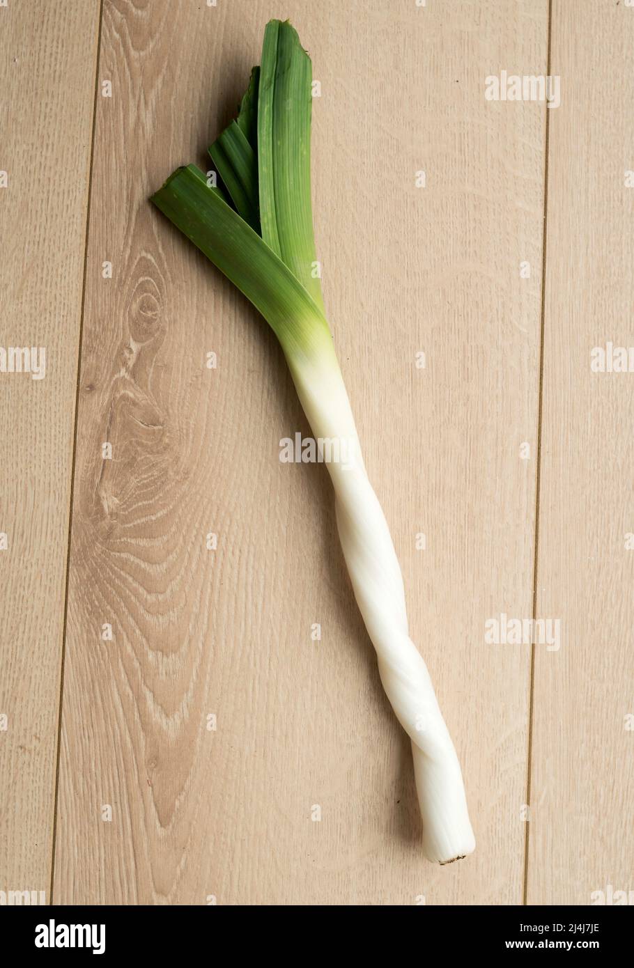A leek plant grown twisted in the shape of a barley sugar stick, England, UK Stock Photo