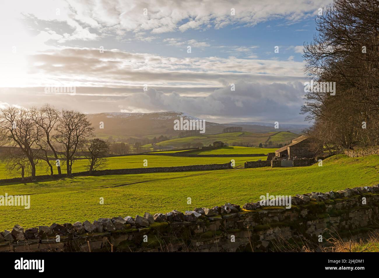 Upper Wensleydale near Simonstone in evening light, Yorkshire Dales National Park Stock Photo