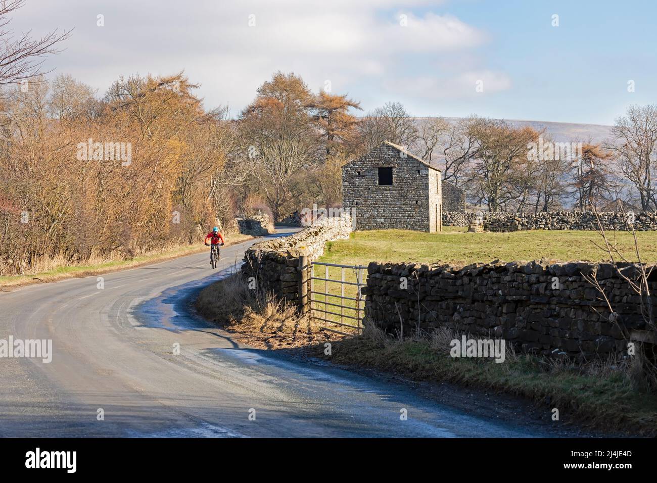 A rider cycles past a stone barn in Swaledale, Yorkshire Dales National Park near Reeth. Stock Photo