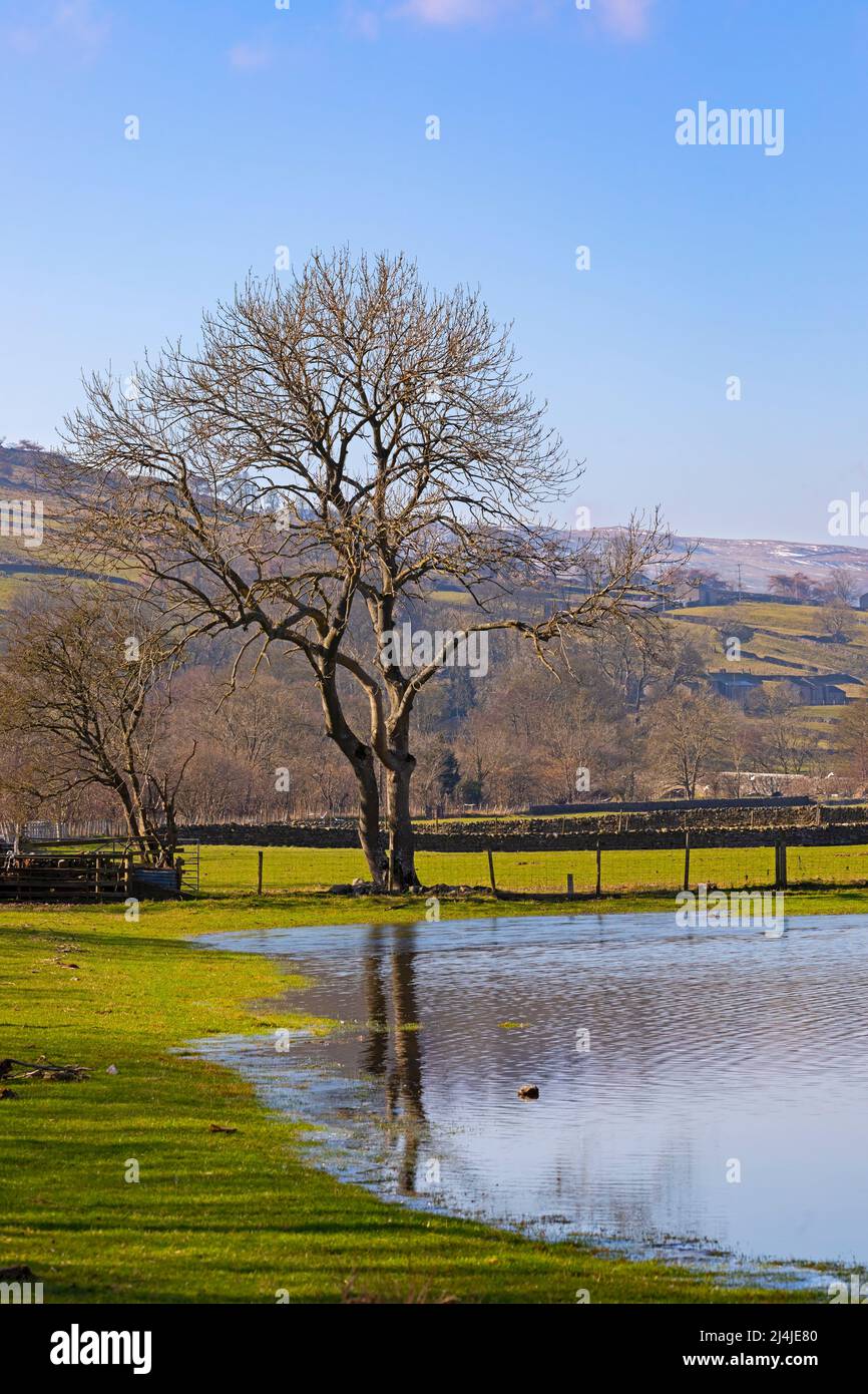 Flooded fields near Reeth in Swaledale, Yorkshire Dales National Park. Stock Photo