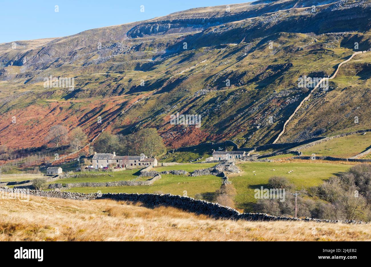 Farms in Swaledale, Yorkshire Dales National Park Stock Photo