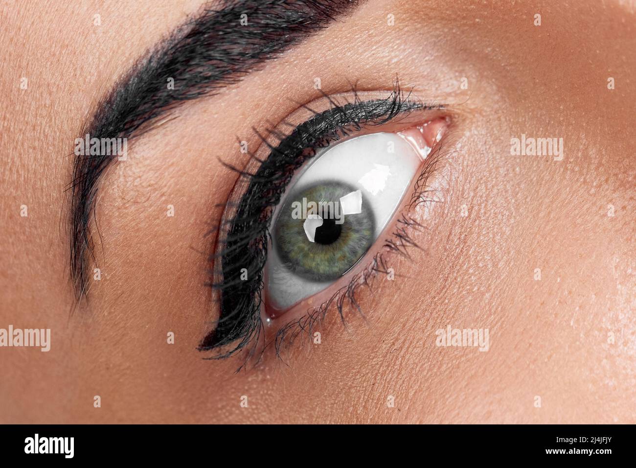 Beautiful macro shot of female eye with extreme long eyelashes and black liner makeup. Perfect shape make-up and long lashes. Cosmetics and make-up. C Stock Photo