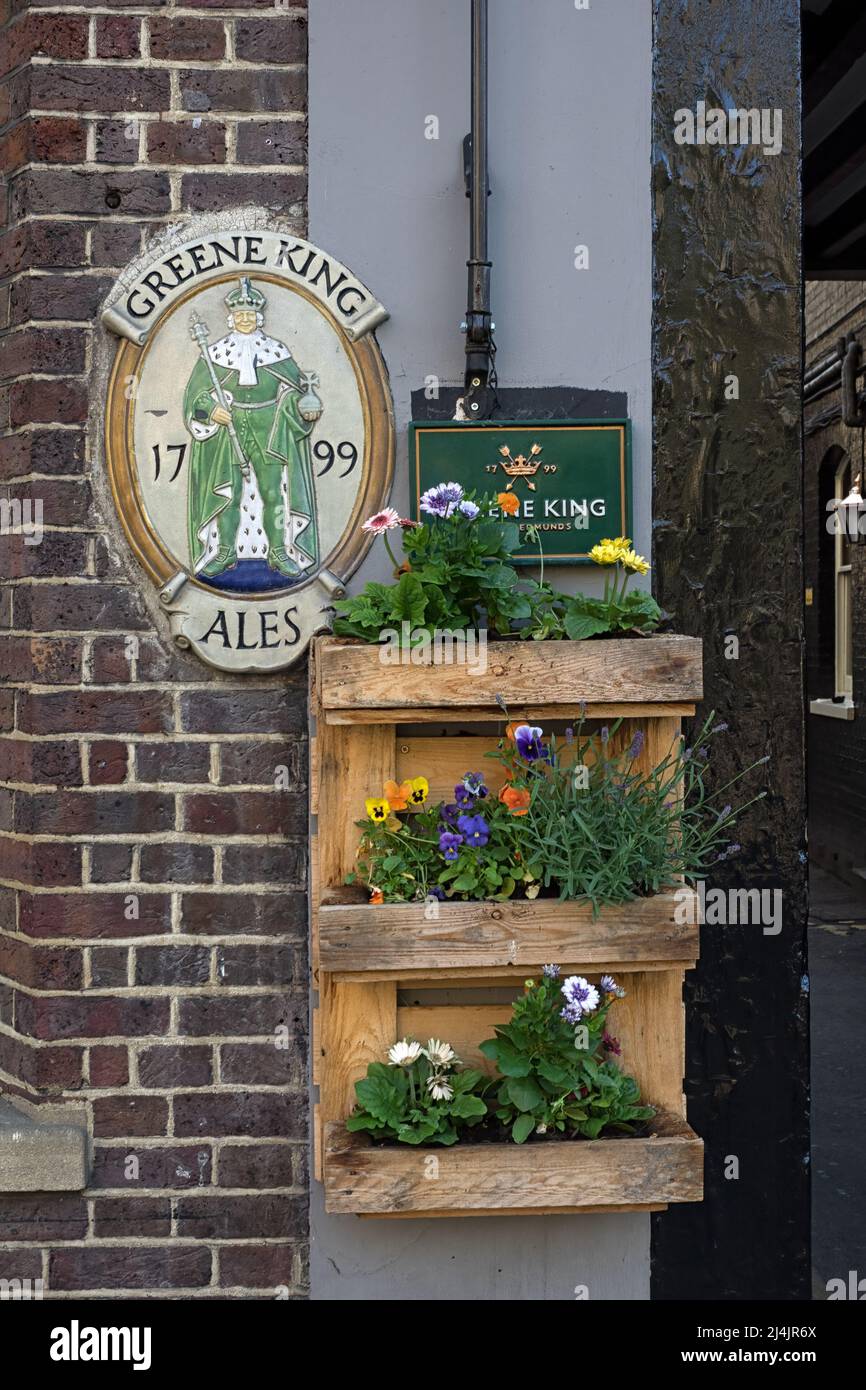 CAMBRIDGE, UK - AUGUST 11, 2017:   Pretty sign for Greene King Pubs and Floral display outside The Baron of Beef Pub in Bridge Street Stock Photo