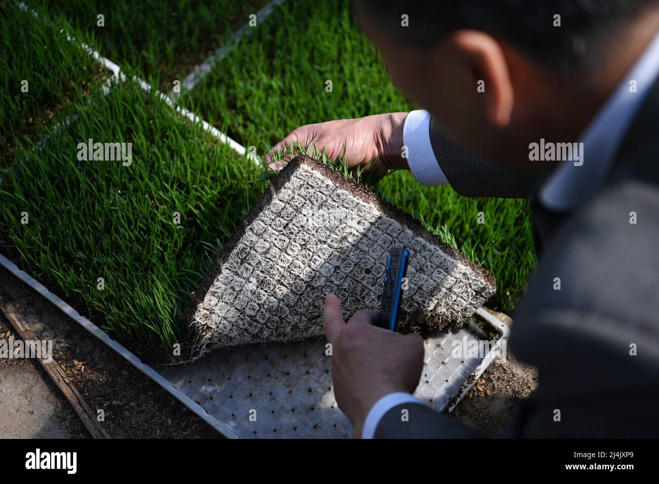 Tianjin, China. 15th Apr, 2022. Rice breeding expert Yu Fu'an checks rice seedlings at a rice breeding base in Tianjin, north China, April 15, 2022. Yu Fu'an, 56, has been devoted in research on rice breeding for more than 30 years. Yu's team has successfully cultivated many new rice varieties and was awarded the grand prize in Tianjin Science and Technology Progress Award recently. Credit: Li Ran/Xinhua/Alamy Live News Stock Photo
