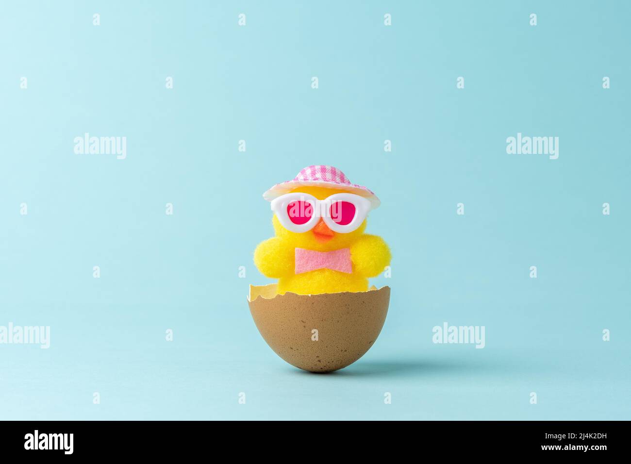 Chicken in cracked Easter egg shell on pastel blue background. Creative Easter minimal concept. Stock Photo