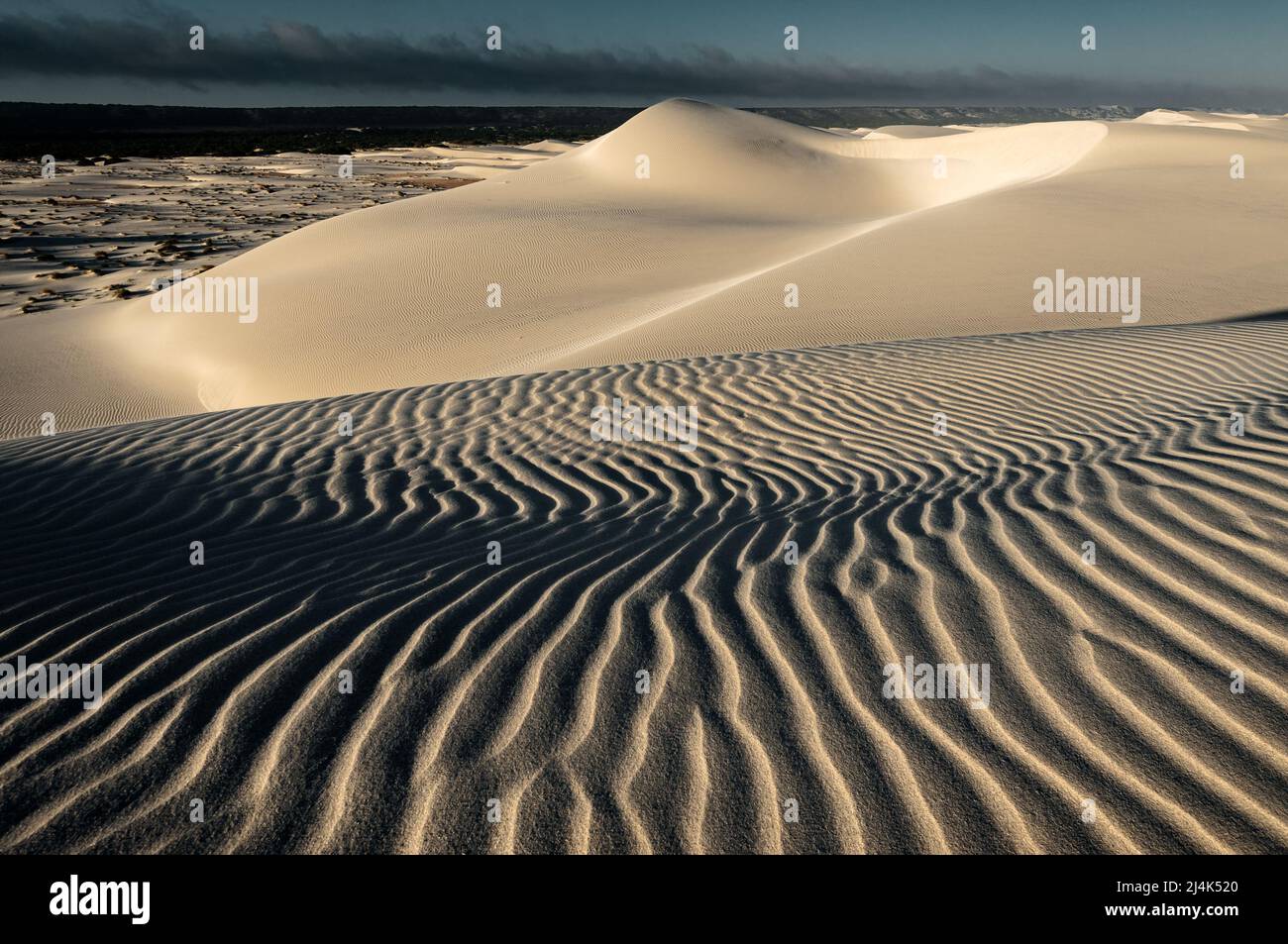 Sand dunes of Eucla are an ever changing artwork of nature. Stock Photo