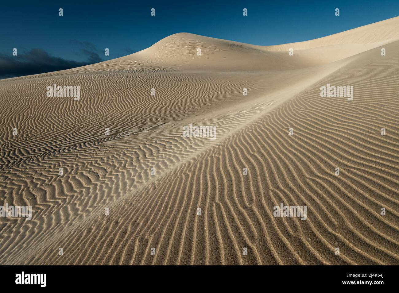 Sand dunes of Eucla are an ever changing artwork of nature. Stock Photo