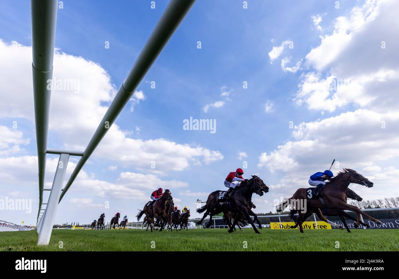 Highclere horse hi-res stock photography and images - Alamy