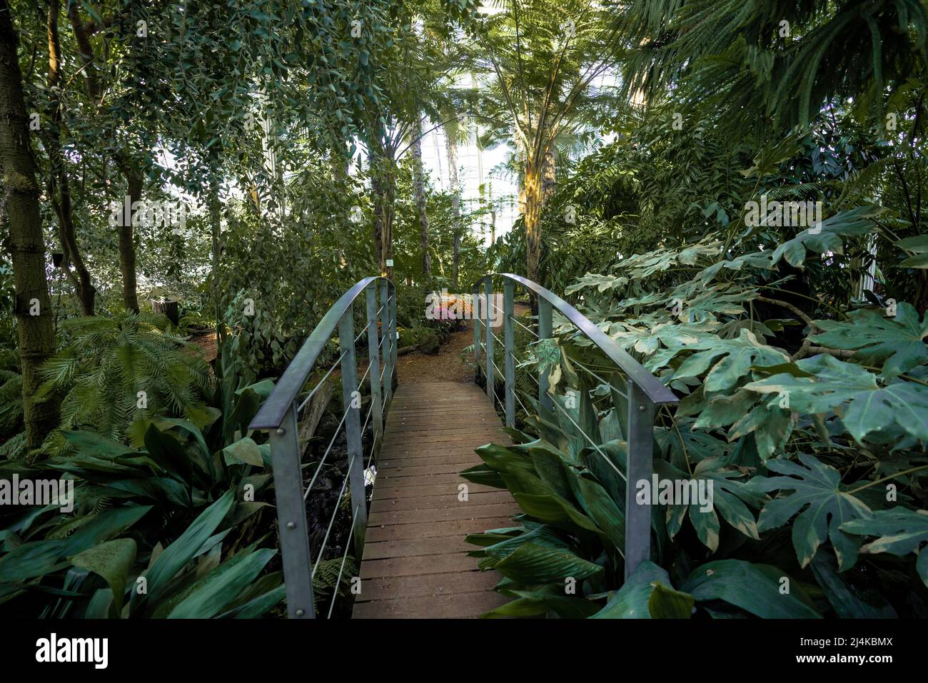 Palmenhaus Greenhouse at Schonbrunn Palace - Vienna, Austria Stock Photo