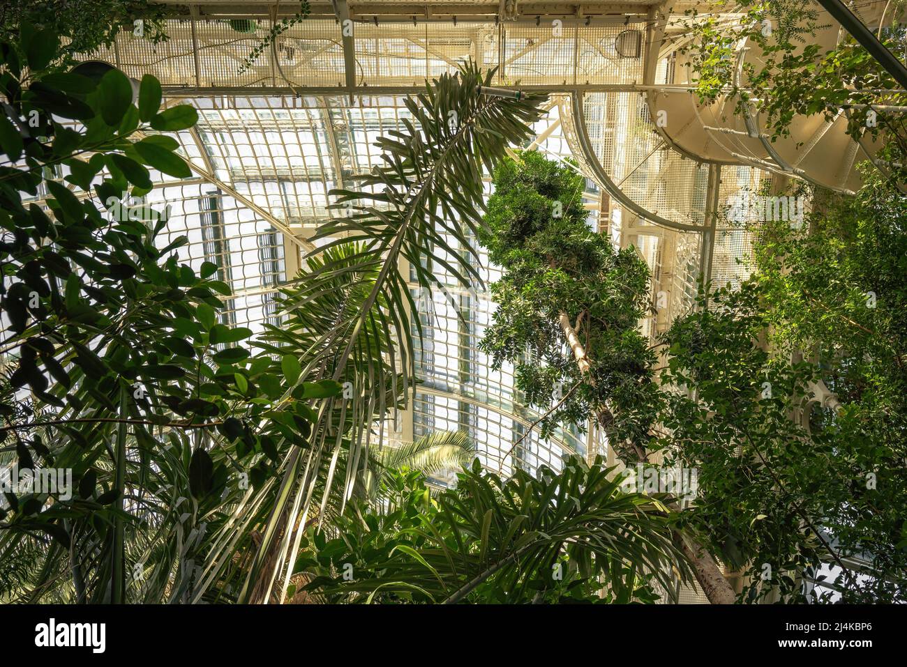 Palmenhaus Greenhouse at Schonbrunn Palace - Vienna, Austria Stock Photo